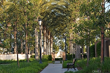 50 Hedge Bloom - Irvine, CA