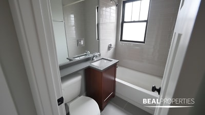 2906 N Mildred Ave unit cl-M2 - Chicago, IL