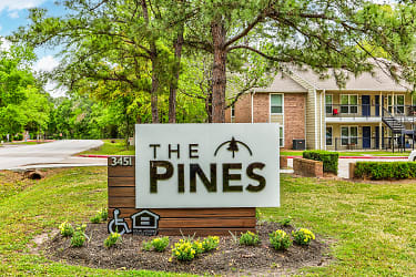 The Pines Apartments - Spring, TX