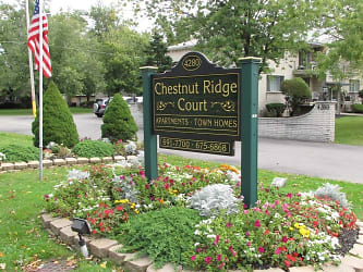 Chestnut Ridge Court Apartments - Buffalo, NY
