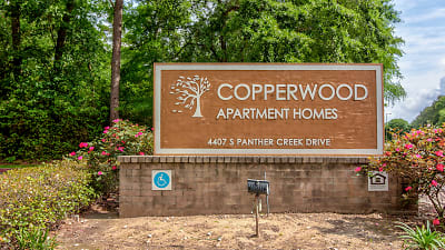 Ridgewood At Panther Creek Apartments - The Woodlands, TX