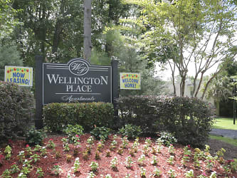 Wellington Place Apartments - Summerville, SC
