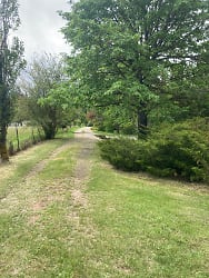 Driveway to the house