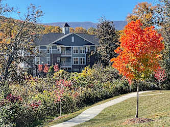 For Rent Waynesville Nc