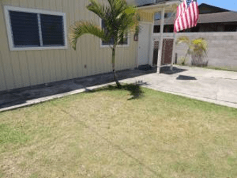 418 Ulupaina St unit B - Kailua, HI