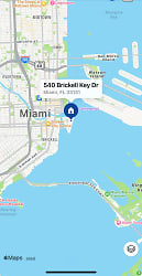 540 Brickell Key Dr unit 215 - Miami, FL