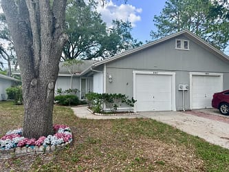 4407 Hollow Branch Ct - Tampa, FL