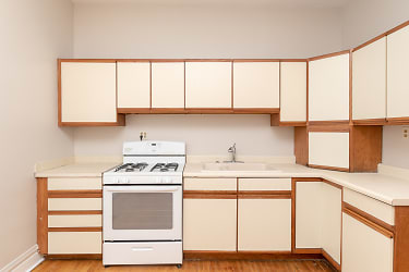 815 N Campbell Ave unit 3 - Chicago, IL
