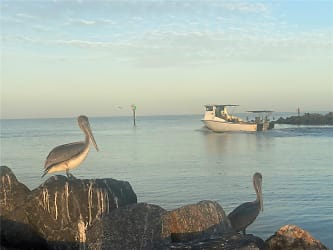 796 Bird Bay Way #30 - Venice, FL