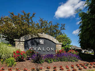 Avalon Westbury Apartments - Westbury, NY