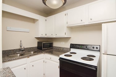 605 W Wrightwood Ave unit P706 - Chicago, IL
