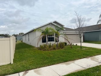 10206 Shimmering Koi Wy - Riverview, FL