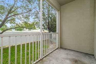 1555 Hillview Ln - Tarpon Springs, FL