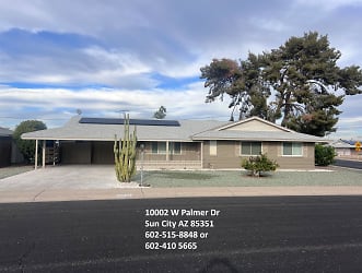 10002 W Palmer Dr - Sun City, AZ
