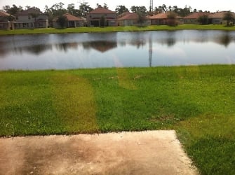 1351 Blackwater Pond Dr - Orlando, FL