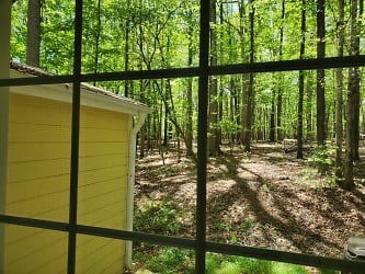 Duke Forest Woods Area of Back Yard, Very Quiet Place to Live!  - Copy - Copy.jpg