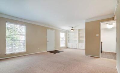 3433 W Dallas St unit 223 - Houston, TX