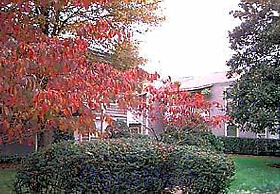 The Chimneys Apartments Charlotte Nc 28211