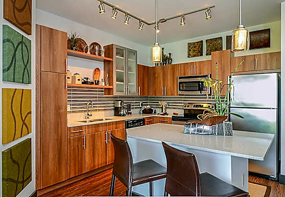 Fusion 1560 Apartments Saint Petersburg, FL 33705