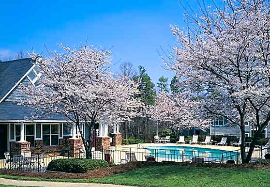 Argyle Place Apartments Hickory Nc 28601