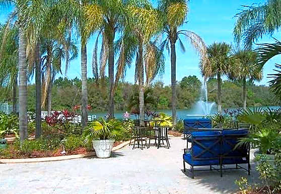 Lake Azzure Apartments Tampa Fl 33614