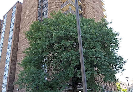 Colt Arms Apartments Paterson Nj 07501