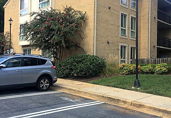 Unique Amber Commons Apartments In Gaithersburg Md with Simple Decor