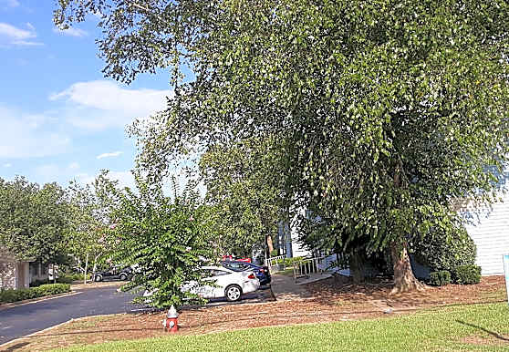 Ridge Landing Apartments Warner Robins Ga 31088