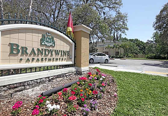 Brandywine Apartments Tampa Fl 33610