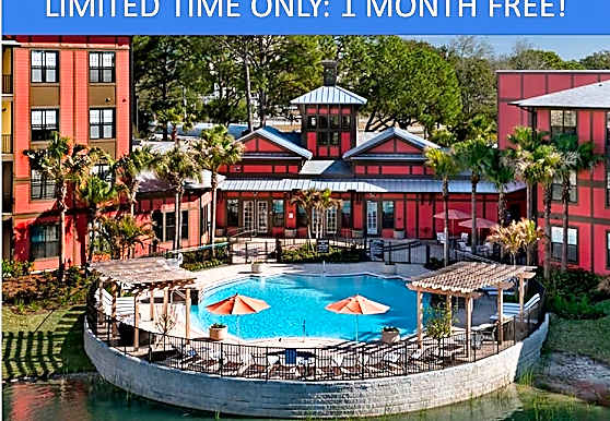 5 West Apartments Tampa Fl 33634