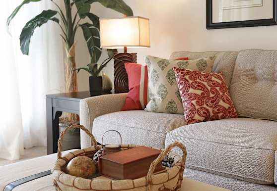 The Lady Apartments - Columbia, SC 29201