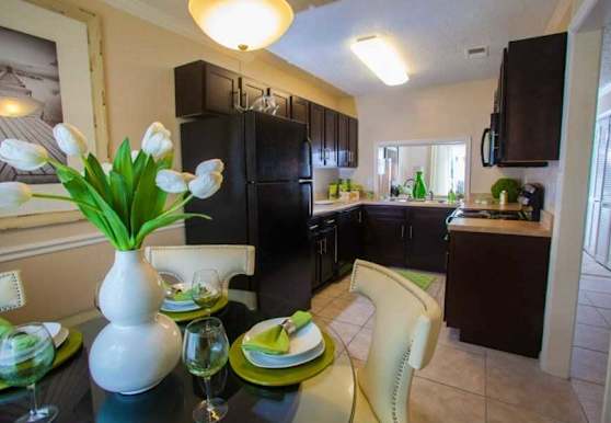 The Park At Lake Magdalene Apartments Tampa Fl 33618