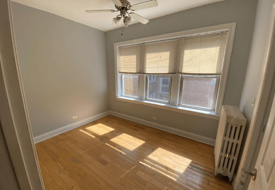 4562 W George St Apartments - Chicago, IL 60641