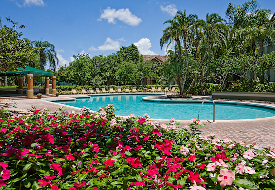 Players Club Apartments Coral Springs Fl 33071