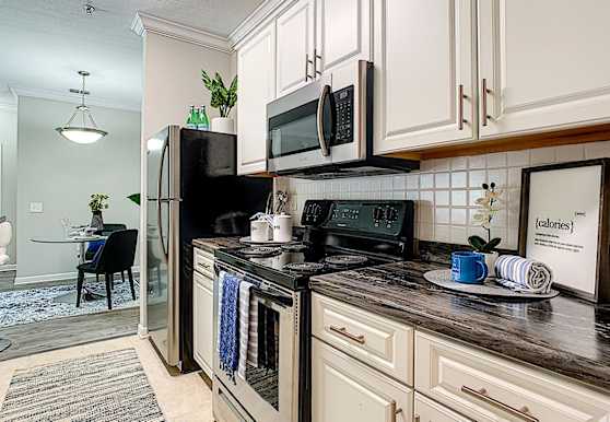 Elevate 155 Apartments Mount Dora Fl 32757