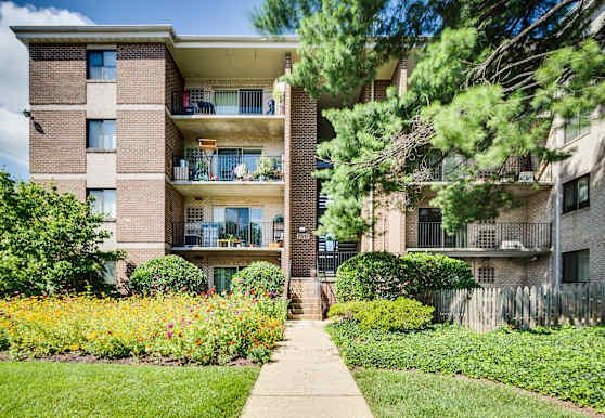 Azalea Apartments Takoma Park Md 20912