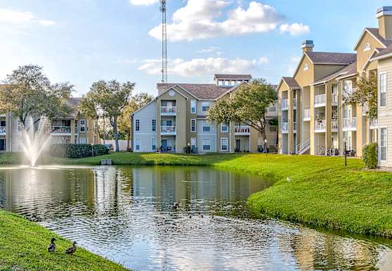 Lighthouse Bay Apartments Tampa Fl 33611