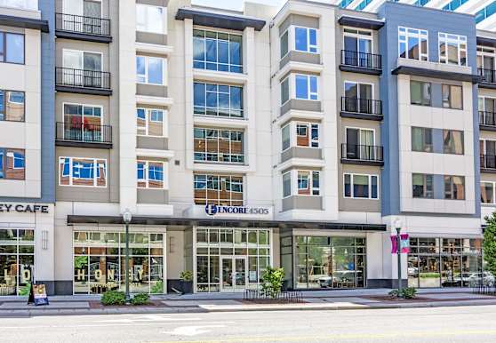 Encore 4505 At Town Center Apartments Virginia Beach Va 23462