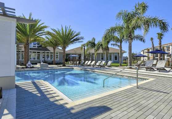 The Alexander At Countryside Apartments Clearwater Fl 33763