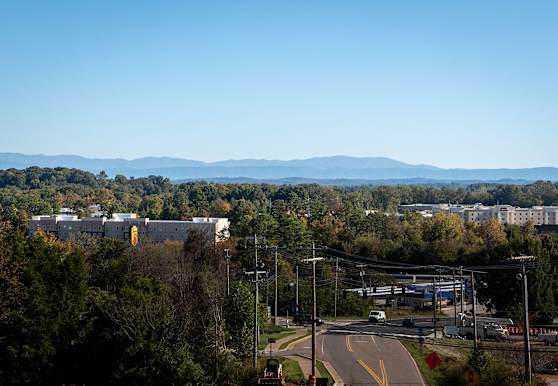 Overlook Farragut Apartments Knoxville Tn 37932