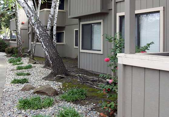 Oak Ridge Apartments Sacramento Ca 95841