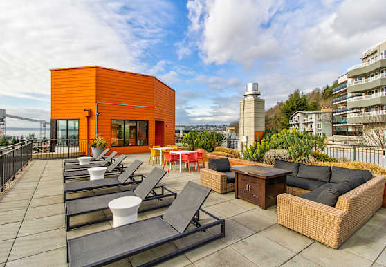 Canvas Apartments Seattle Wa 98119