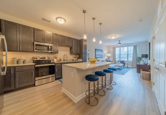 Elizabeth Apartments For Rent 284 Apartments Charlotte Nc Apartmentguide Com