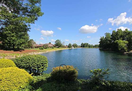 Forest Meadow Villas Apartments Medina OH 44256