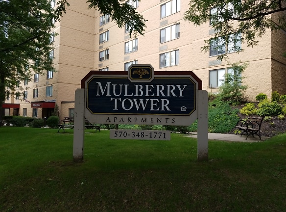 Mulberry Tower Apartments - Scranton, PA