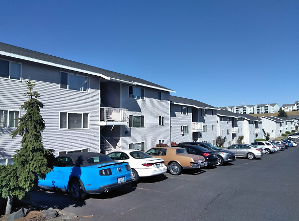 Summerhill Rentals Llc Apartments - Pullman, WA