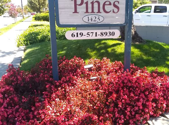 The Pines Apartments - El Cajon, CA