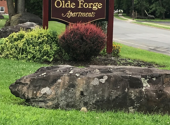 Olde Forge Apartments - New Windsor, NY