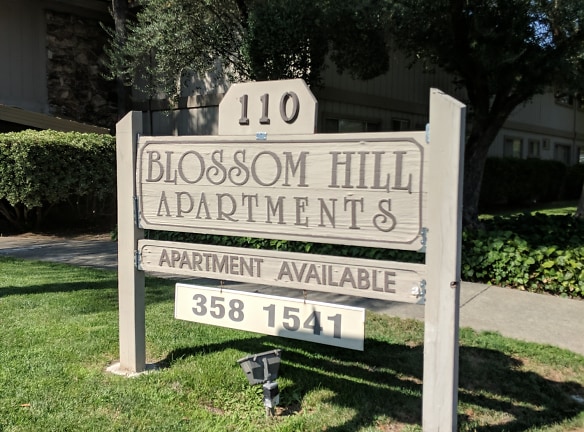 Blossom Hill Terrace Apartments - Los Gatos, CA