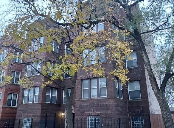 7250 S Merrill Ave 3 N Apartments - Chicago, IL